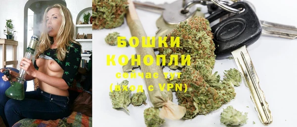 трава Иннополис