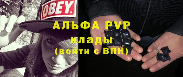 трава Иннополис