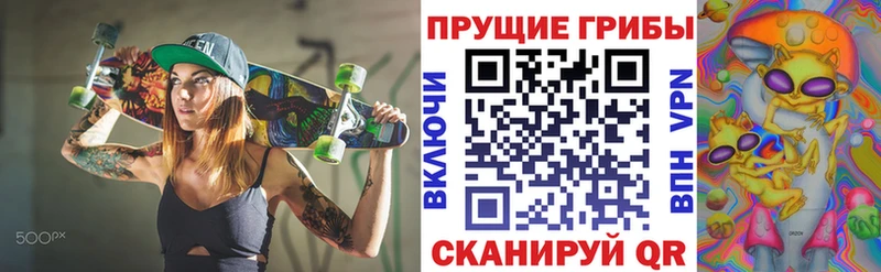Псилоцибиновые грибы Magic Shrooms  Купить где  Ипатово 